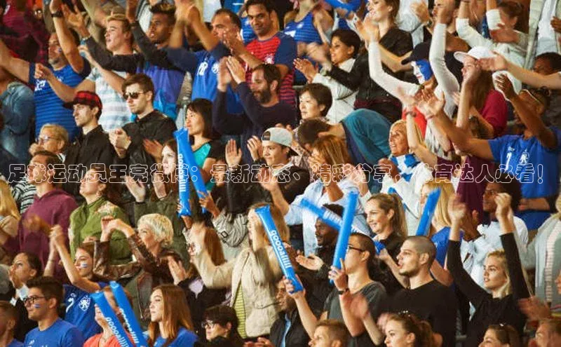 谈球吧app小度商城