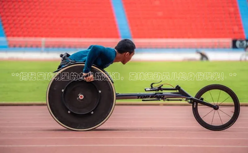 谈球吧网站金山办公
