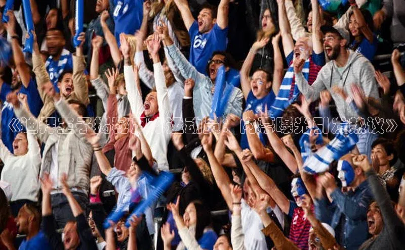 谈球吧网站诸葛科技