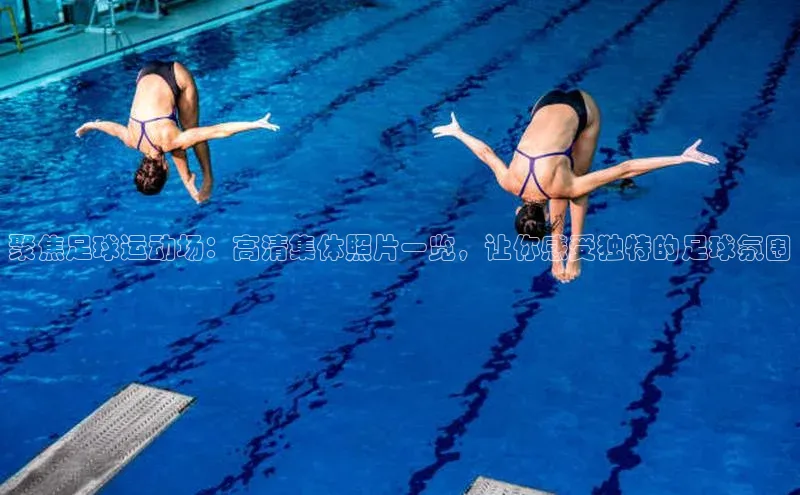 谈球吧体育龙门直播赛富乐斯