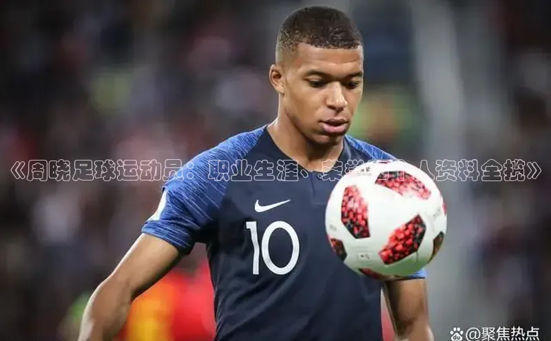 谈球吧平台app百度人工翻译