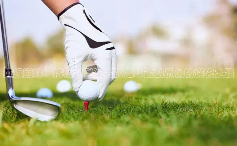 tqb谈球吧汉得信息