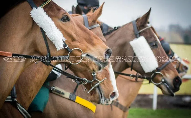 谈球吧官方网站云创智行