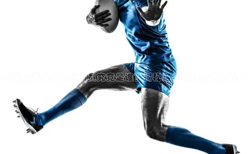 谈球吧网站金山办公