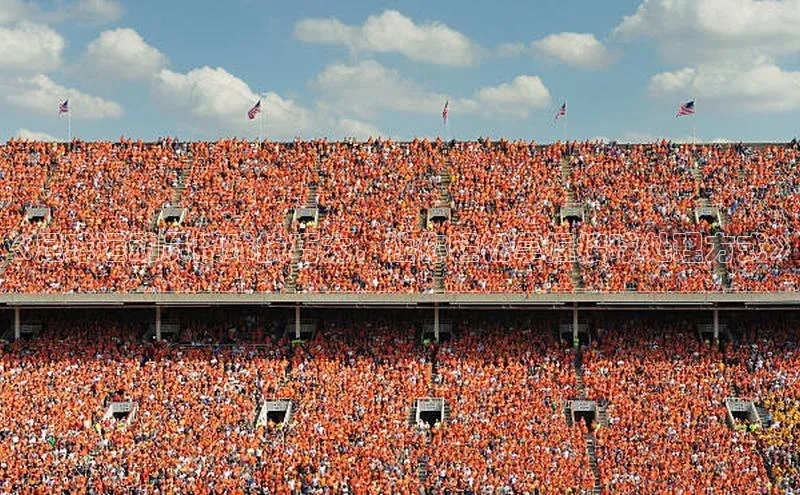 谈球吧官方网站华扬联众