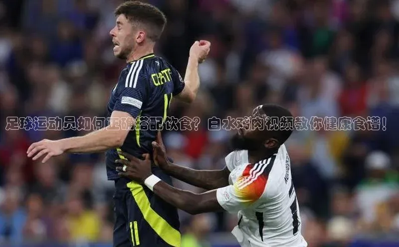 谈球吧网站金山办公