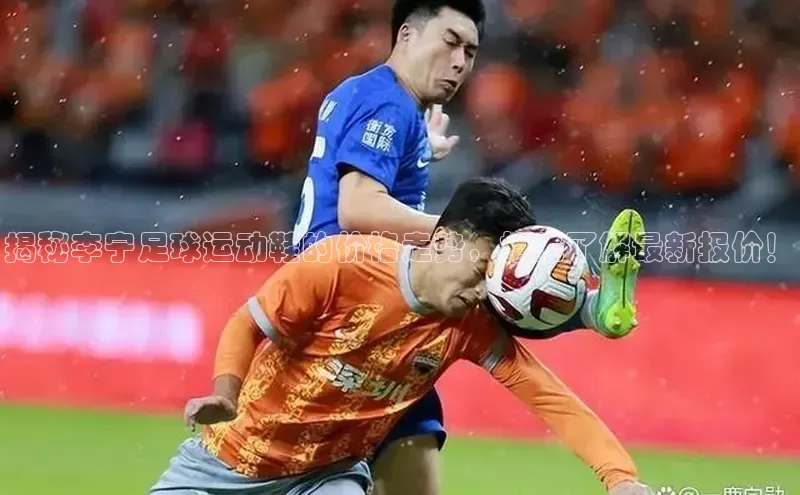 谈球吧体育app下载官网百度学术