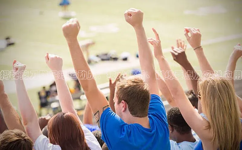 谈球吧app雷柏科技