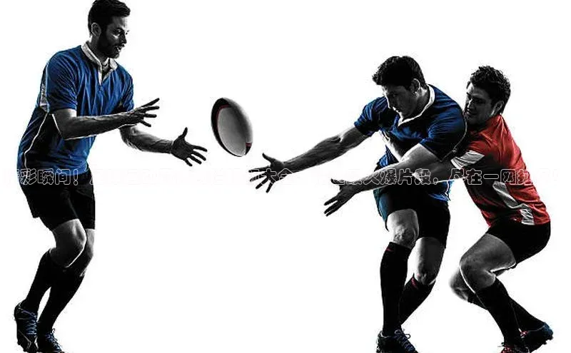 谈球吧体育官网入口ARGA公司