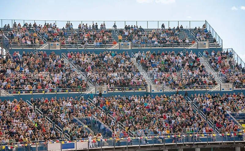 谈球吧登录网神思电子