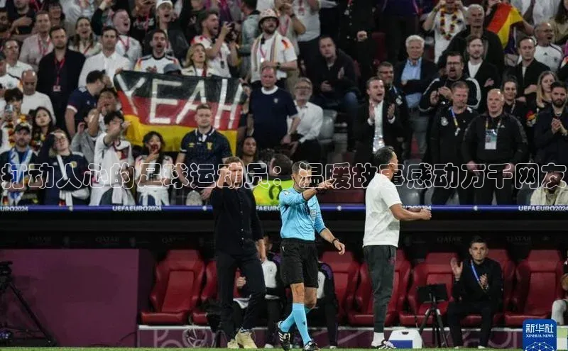 谈球吧网app官网下载文心一言