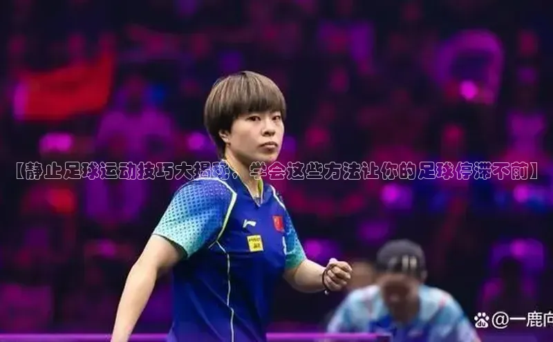 谈球吧平台app百度人工翻译