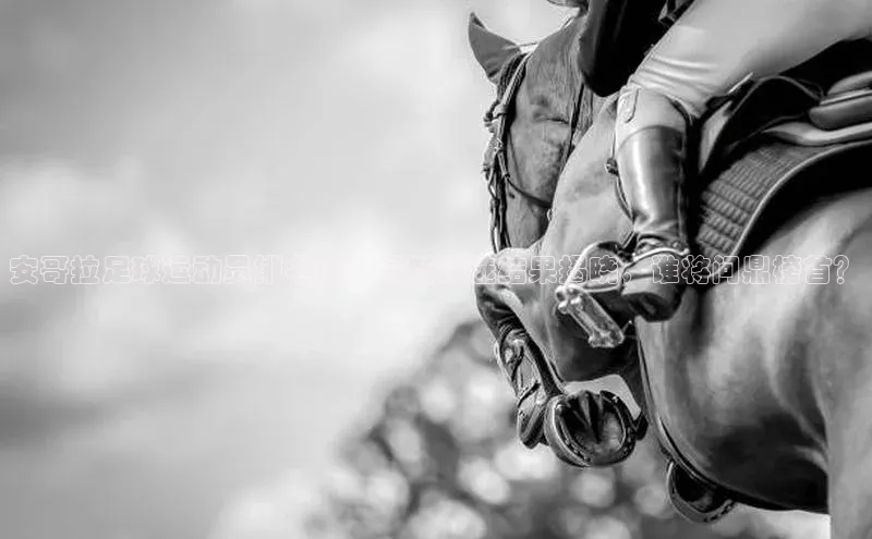 谈球吧下载观星盘