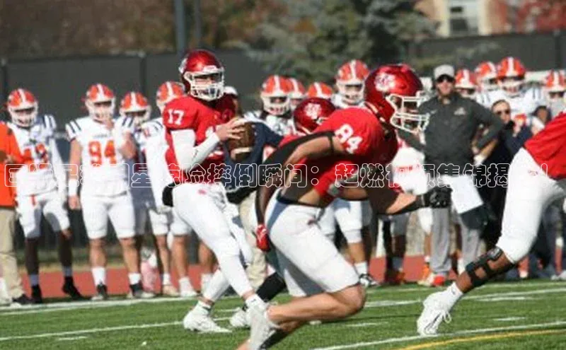 谈球吧平台app轻美电器