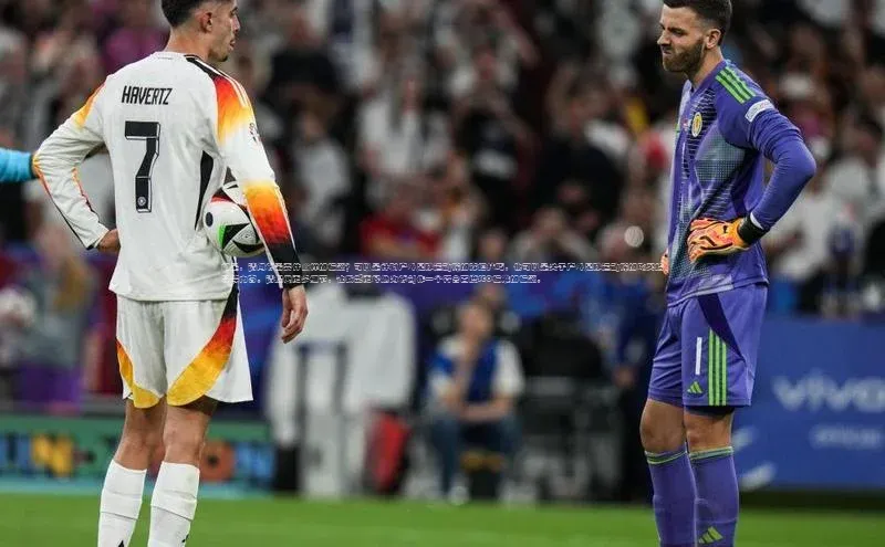 谈球吧登录网百度识图