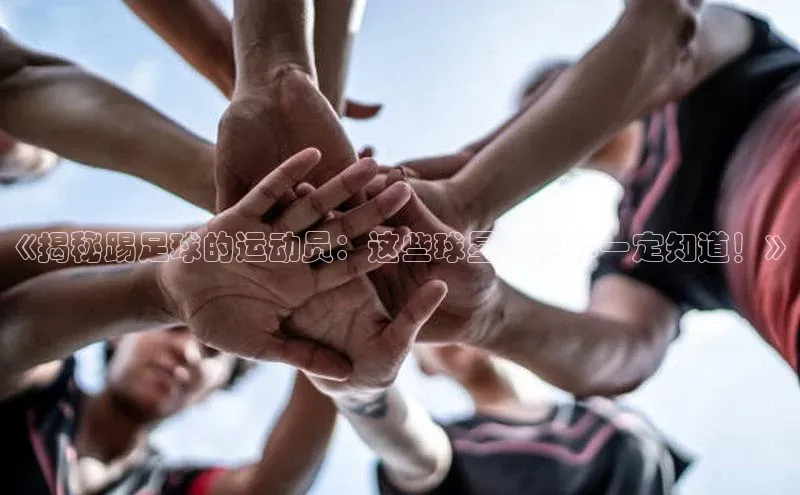 谈球吧体育官网网易