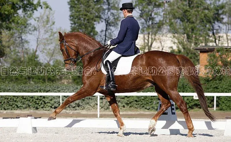 谈球吧官方在线网址