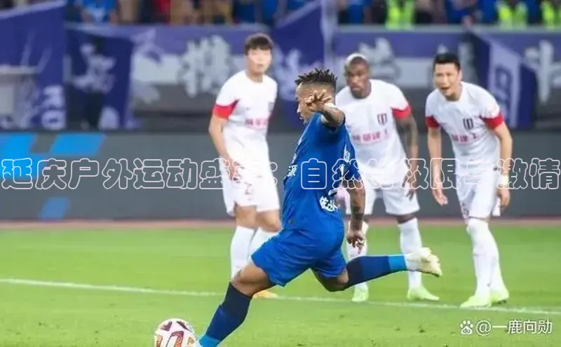 谈球吧体育官网入口