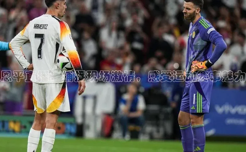 谈球吧官方在线网址