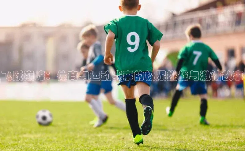 飞跃巅峰：体育与运动赛事的极限挑战与激情故事